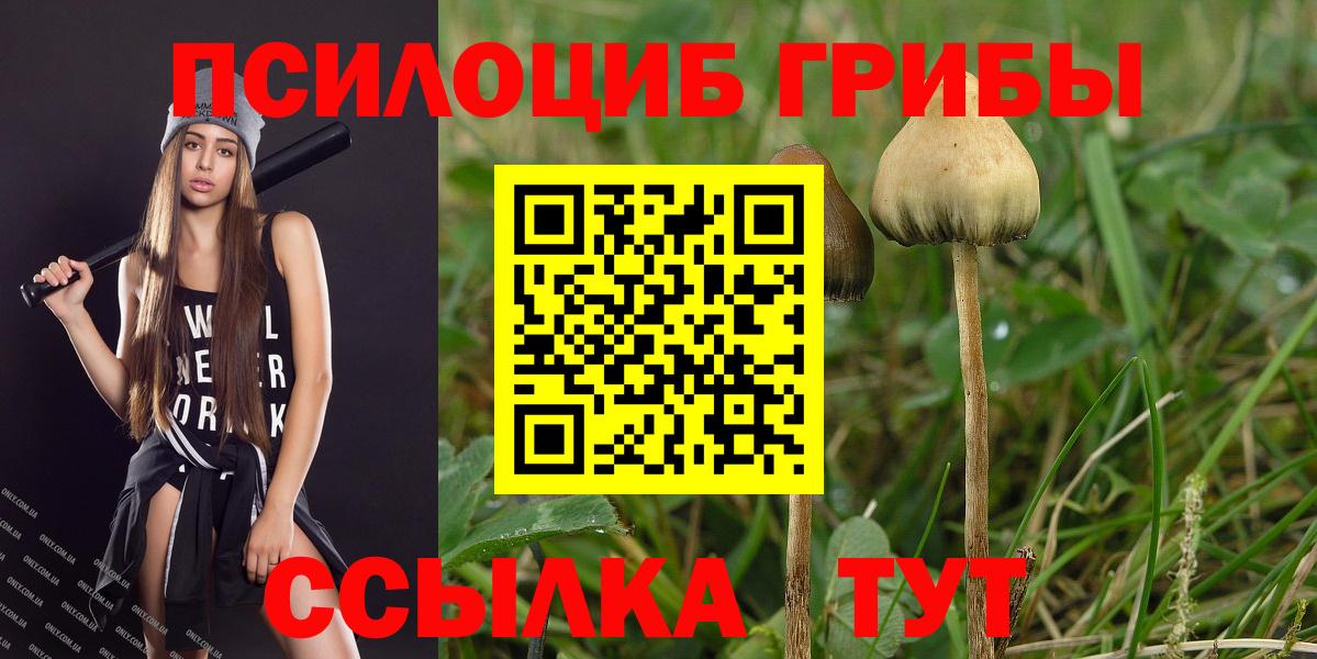 Галлюциногенные грибы прущие грибы Тосно