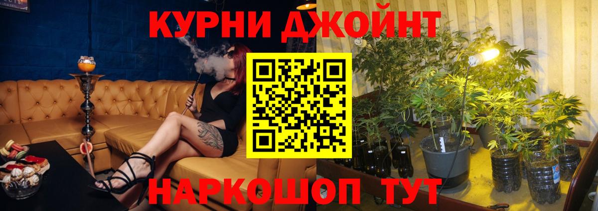 Канабис планчик Тосно